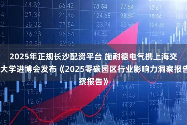 2025年正规长沙配资平台 施耐德电气携上海交通大学进博会发布《2025零碳园区行业影响力洞察报告》