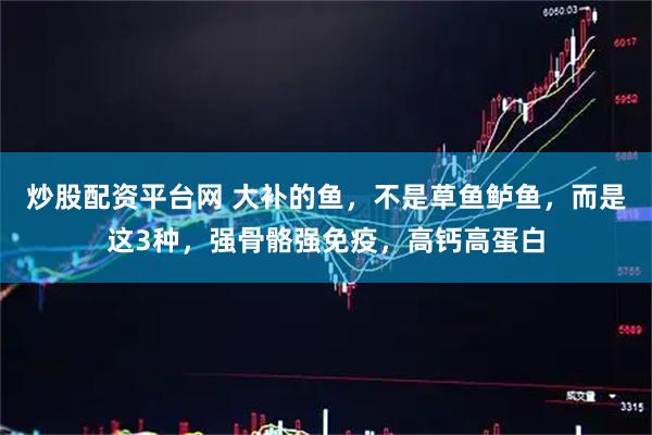 炒股配资平台网 大补的鱼，不是草鱼鲈鱼，而是这3种，强骨骼强免疫，高钙高蛋白